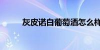 灰皮諾白葡萄酒怎么樣(灰皮諾)