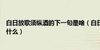 白日放歌須縱酒的下一句是啥(白日放歌須縱酒的下一句是什么)