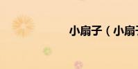 小扇子(小扇子)