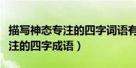 描寫神態專注的四字詞語有哪些(描寫神態專注的四字成語)