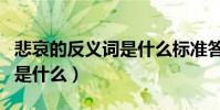 悲哀的反義詞是什么標準答案(悲哀的反義詞是什么)