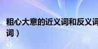 粗心大意的近義詞和反義詞(粗心大意的近義詞)