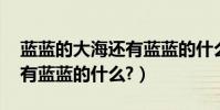 藍藍的大海還有藍藍的什么(藍藍的大海,還有藍藍的什么?)