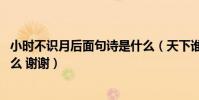 小時不識月后面句詩是什么(天下誰人不識君 前面句詩是什么 謝謝)
