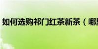 如何選購祁門紅茶新茶(哪里有賣祁門紅茶)