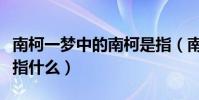 南柯一夢中的南柯是指(南柯一夢中的南柯是指什么)