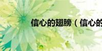 信心的翅膀(信心的反義詞)