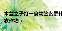 木蘭之子打一食物答案是什么(木蘭之子打一農作物)