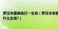 羅漢本愛單身打一生肖(羅漢本來愛單身,萬紫干紅艷陽天是什么生肖?)