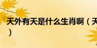 天外有天是什么生肖啊(天外有天是什么生肖)