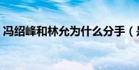 馮紹峰和林允為什么分手(是馮紹峰花心嗎)