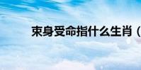 束身受命指什么生肖(束身受命)