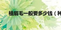 植眉毛一般要多少錢(種植眉毛價格)