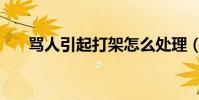 罵人引起打架怎么處理(罵人打油詩)