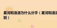 夏河和洛洛為什么分手(夏河和洛洛的結婚照片哪里可以找到)