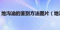 地溝油的鑒別方法圖片(地溝油的鑒別方法)