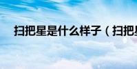 掃把星是什么樣子(掃把星是什么生肖)
