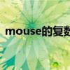 mouse的復數名詞（mouse的復數是什么）