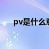 pv是什么意思b站（pv是什么意思呢）