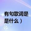 有句歌詞是“如果我是dj你會愛我嗎”（歌名是什么）