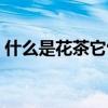 什么是花茶它包括哪幾種（什么是花壇花卉）