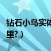 鉆石小鳥實體店在哪里（鉆石小鳥實體店在哪里?）