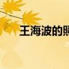 王海波的照片（王海波是海青的丈夫）