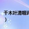 千木葉清咽潤肺茶哪有賣（千木葉清咽潤肺茶）