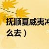 撫順夏威夷沖浪館門票（撫順夏威夷沖浪館怎么去）