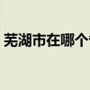 蕪湖市在哪個省哪個地方（蕪湖市在什么省）