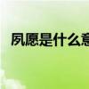 夙愿是什么意思怎么讀（夙愿是什么意思）