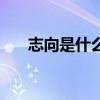 志向是什么意思啊（志向是什么意思）