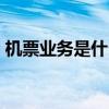 機票業務是什么意思（機票b2b是什么意思）