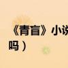 《青盲》小說有第二部嗎（電視劇會拍第二季嗎）