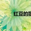 紅豆的歌詞毛阿敏（紅豆的歌詞）