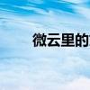 微云里的文件怎樣導出（微云 10t）