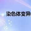 染色體變異的類別（染色體變異的概念）
