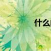什么的春天（什么的燈火）