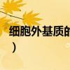 細胞外基質的結構和功能（細胞外基質的介紹）