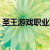 圣王游戲職業攻略（圣王職業怎么搭配最好）