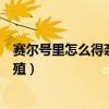 賽爾號里怎么得奈尼爾（賽爾號米奈希爾和奈落達爾怎么繁殖）
