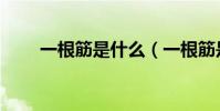一根筋是什么(一根筋是什么意思)