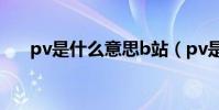 pv是什么意思b站(pv是什么意思呢)