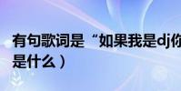 有句歌詞是“如果我是dj你會愛我嗎”(歌名是什么)