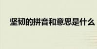 堅韌的拼音和意思是什么(堅韌的拼音)