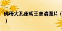 佛母大孔雀明王高清圖片(佛母大孔雀明王經)
