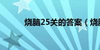 燒腦25關的答案(燒腦24小時)