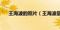 王海波的照片(王海波是海青的丈夫)