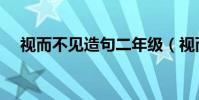 視而不見造句二年級(視而不見打一字)
