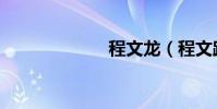程文龍(程文路)